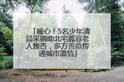 暖心！5名少年清晨采摘助北宅孤寡老人售杏，多方善意传递城市温情