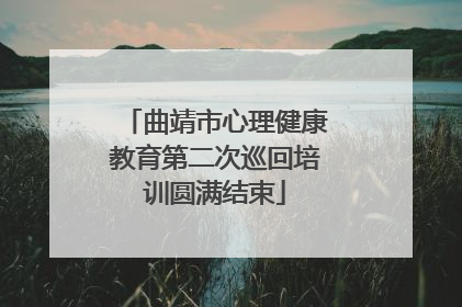 曲靖市心理健康教育第二次巡回培训圆满结束
