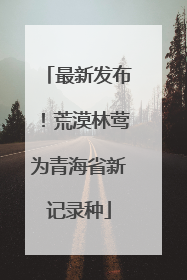 最新发布！荒漠林莺为青海省新记录种