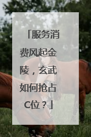 服务消费风起金陵，玄武如何抢占C位？