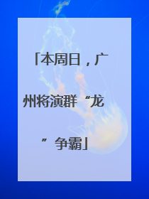 本周日，广州将演群“龙”争霸