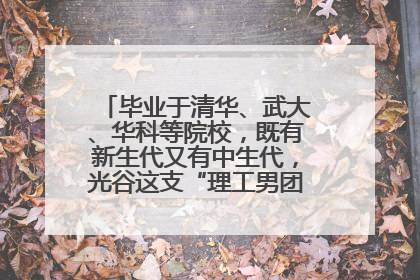 毕业于清华、武大、华科等院校，既有新生代又有中生代，光谷这支“理工男团”为何“出道”？
