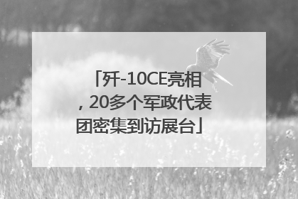 歼-10CE亮相，20多个军政代表团密集到访展台