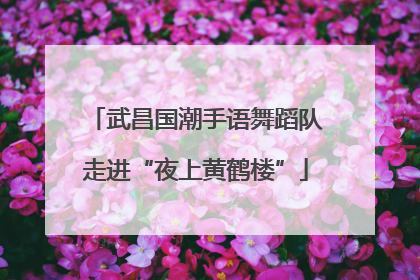 武昌国潮手语舞蹈队走进“夜上黄鹤楼”