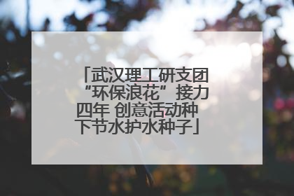 武汉理工研支团“环保浪花”接力四年 创意活动种下节水护水种子