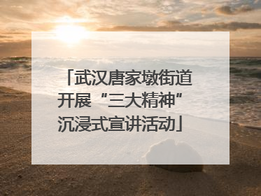 武汉唐家墩街道开展“三大精神”沉浸式宣讲活动