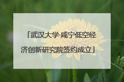 武汉大学·咸宁低空经济创新研究院签约成立