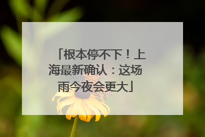 根本停不下！上海最新确认：这场雨今夜会更大