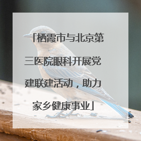 栖霞市与北京第三医院眼科开展党建联建活动，助力家乡健康事业