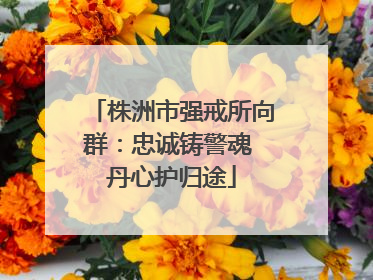 株洲市强戒所向群：忠诚铸警魂 丹心护归途