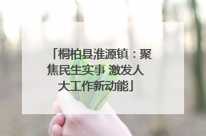 桐柏县淮源镇：聚焦民生实事 激发人大工作新动能
