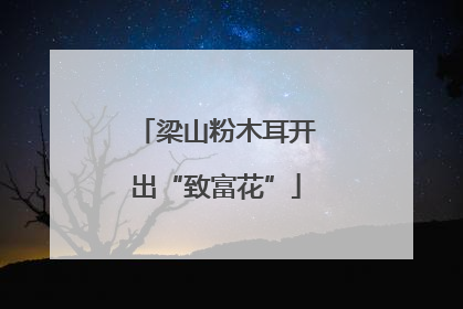 梁山粉木耳开出“致富花”