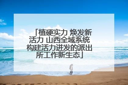 植硬实力 焕发新活力 山西全域系统构建活力迸发的派出所工作新生态