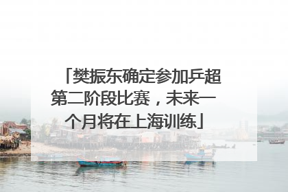 樊振东确定参加乒超第二阶段比赛，未来一个月将在上海训练