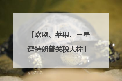 欧盟、苹果、三星遭特朗普关税大棒