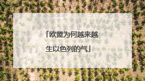 欧盟为何越来越生以色列的气