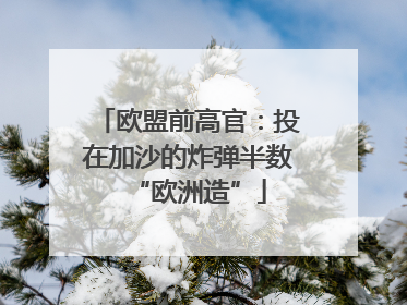欧盟前高官：投在加沙的炸弹半数“欧洲造”