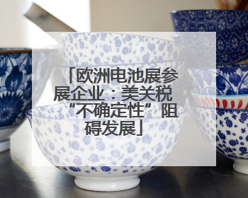 欧洲电池展参展企业：美关税“不确定性”阻碍发展