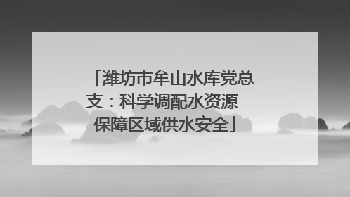 潍坊市牟山水库党总支：科学调配水资源 保障区域供水安全