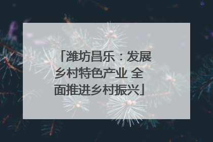 潍坊昌乐：发展乡村特色产业 全面推进乡村振兴