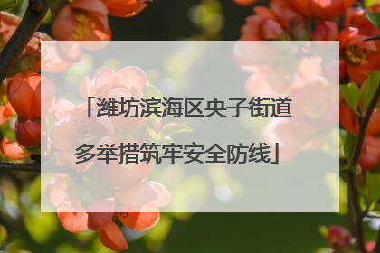 潍坊滨海区央子街道多举措筑牢安全防线