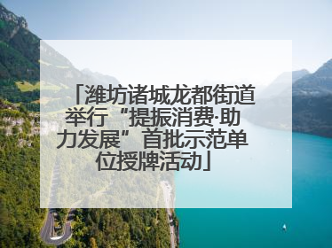 潍坊诸城龙都街道举行“提振消费·助力发展”首批示范单位授牌活动