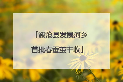 澜沧县发展河乡首批春蚕茧丰收