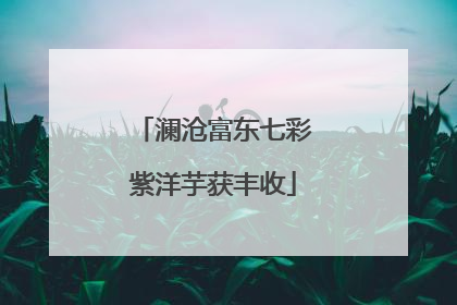澜沧富东七彩紫洋芋获丰收