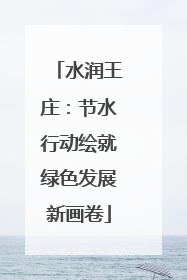 水润王庄：节水行动绘就绿色发展新画卷