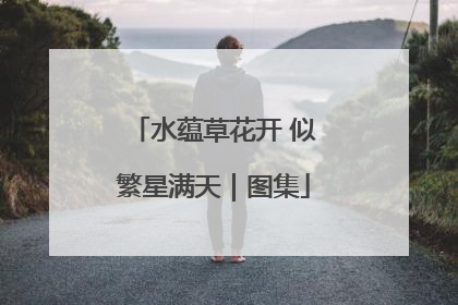 水蕴草花开 似繁星满天｜图集