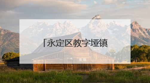 永定区教字垭镇：科学调度 干群合力 筑牢防洪抢险坚固防线