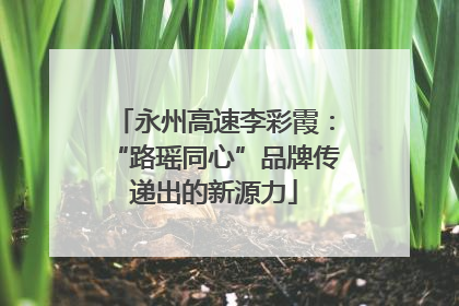 永州高速李彩霞：“路瑶同心”品牌传递出的新源力