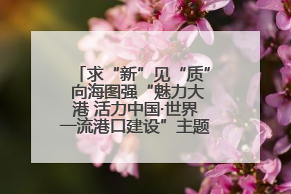 求“新”见“质” 向海图强“魅力大港 活力中国·世界一流港口建设”主题宣传活动走进山东