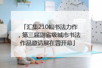 汇集210幅书法力作，第三届副省级城市书法作品邀请展在蓉开幕