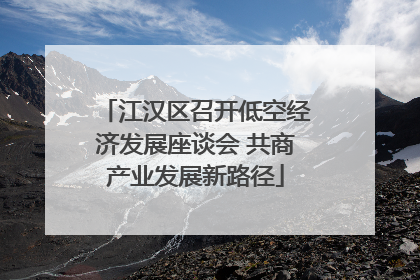 江汉区召开低空经济发展座谈会 共商产业发展新路径