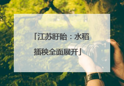 江苏盱眙：水稻插秧全面展开