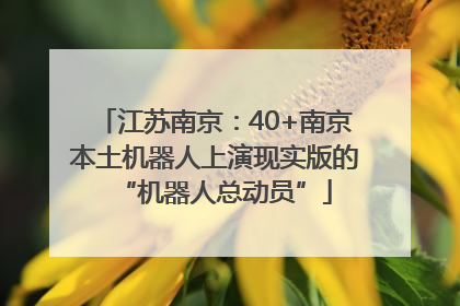 江苏南京：40+南京本土机器人上演现实版的“机器人总动员”