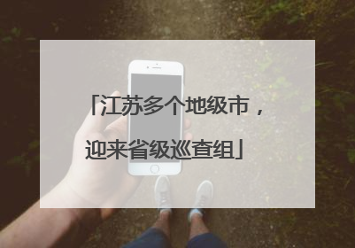江苏多个地级市，迎来省级巡查组