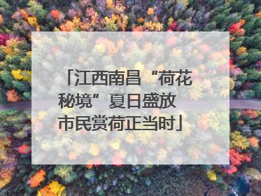 江西南昌“荷花秘境”夏日盛放 市民赏荷正当时