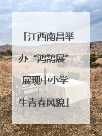 江西南昌举办“鸿鹄展” 展现中小学生青春风貌