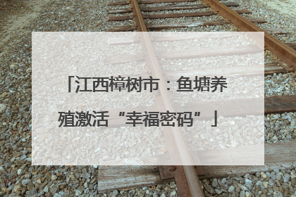 江西樟树市：鱼塘养殖激活“幸福密码”