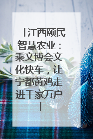 江西颐民智慧农业：乘文博会文化快车，让宁都黄鸡走进千家万户
