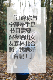 汪峰称与宁静牵手是节目需要，深夜晒出女友森林北合照：我俩好着呢！
