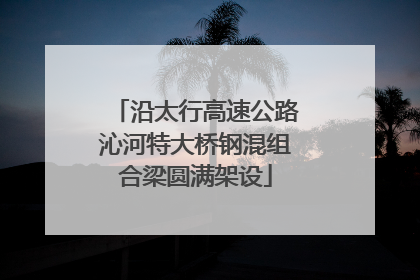 沿太行高速公路沁河特大桥钢混组合梁圆满架设
