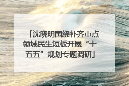 沈晓明围绕补齐重点领域民生短板开展“十五五”规划专题调研