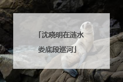 沈晓明在涟水娄底段巡河