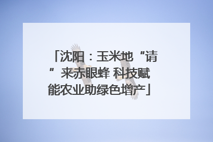 沈阳：玉米地“请”来赤眼蜂 科技赋能农业助绿色增产