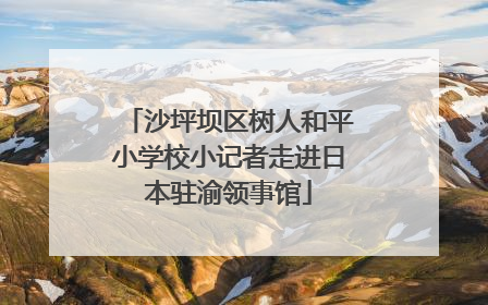 沙坪坝区树人和平小学校小记者走进日本驻渝领事馆