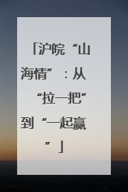 沪皖“山海情”：从“拉一把”到“一起赢”