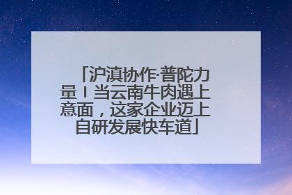 沪滇协作·普陀力量〡当云南牛肉遇上意面，这家企业迈上自研发展快车道